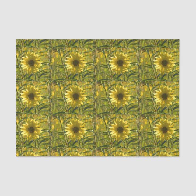 Seda Papel de tono brillante de girasol (Anverso)