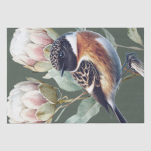Seda Papel de tono de ave Stonechat en África