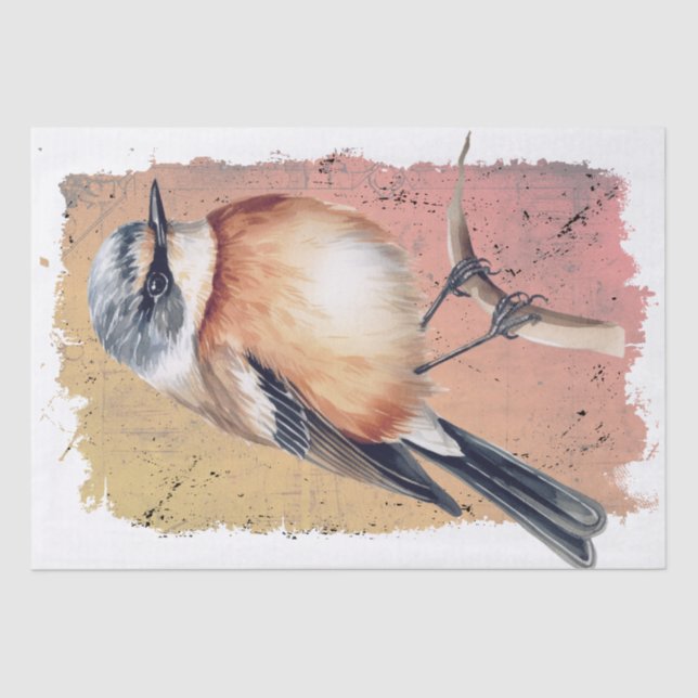 Seda Papel de tono de ave Stonechat en África (Anverso)