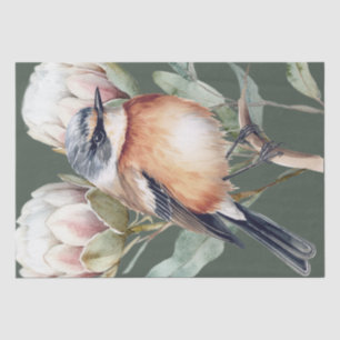 Seda Papel de tono de ave Stonechat en África