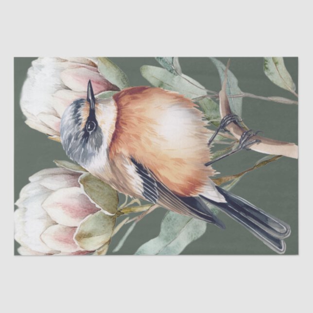 Seda Papel de tono de ave Stonechat en África (Anverso)