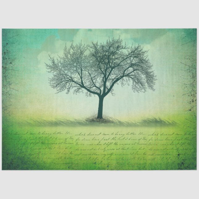 Seda Papel de tono de descomposición de árbol solitario (Anverso)