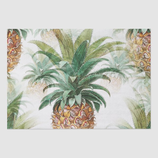 Seda Papel de tono de descomposición de la piña tropica (Anverso)