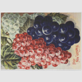 Seda Papel de tono de desconchado de uva Art Nouveau Po