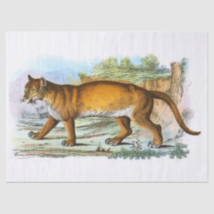 Seda Papel de tono de desconexión de Ilustracion puma v