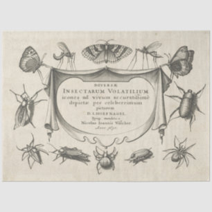 Seda Papel de tono de desconexión de insectos de cosech