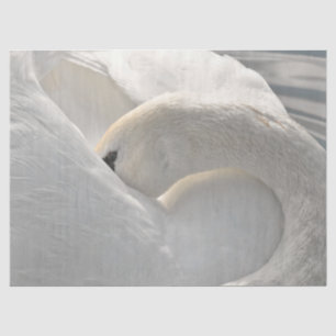 Seda Papel de tono de deshielo de cisne artístico