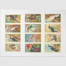 Seda Papel de tono de deshielo de la colección Birds