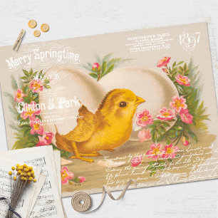 Seda Papel de tono de deshielo de pollo de Pascua
