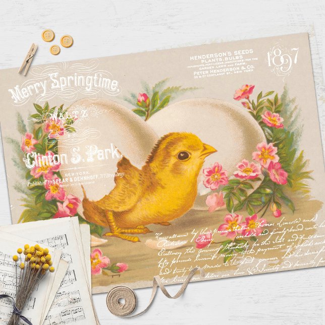 Seda Papel de tono de deshielo de pollo de Pascua (Subido por el creador)