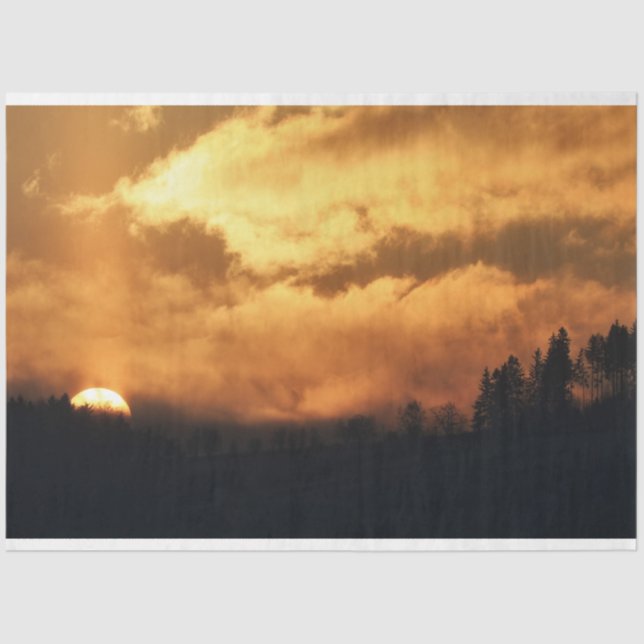 Seda Papel de tono de deshielo del atardecer del bosque (Anverso)