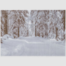 Papel de tono de deshielo del invierno forestal 11