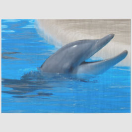 Seda Papel de tono de desunión de delfines en botella