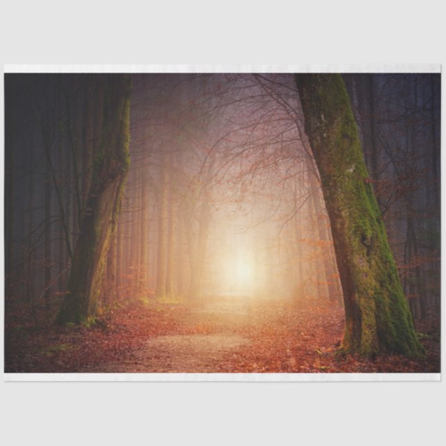 Seda Papel de tono de desunión de la luz de los bosques (Anverso)