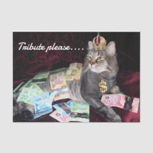 Seda Papel de tono de gato