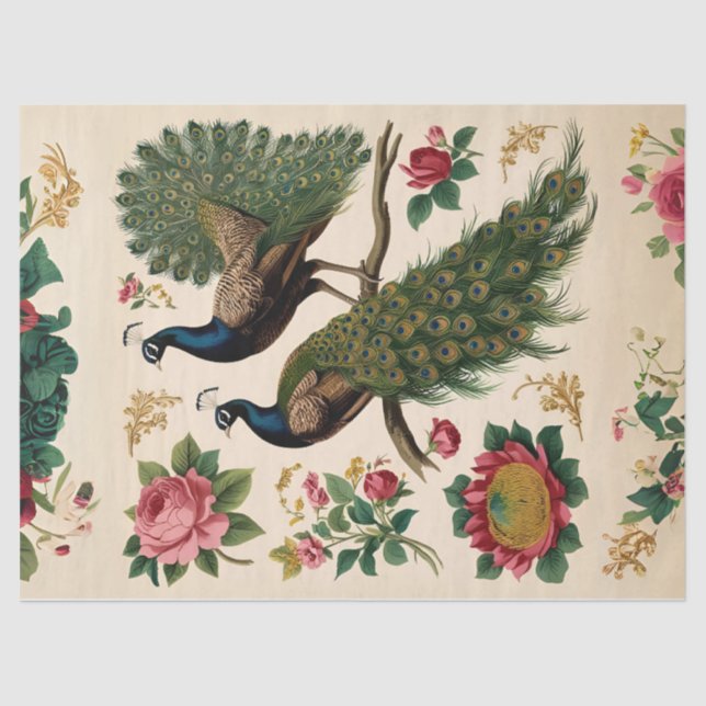 Seda Papel de tono desconsolador de Peacock (Anverso)