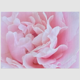 Seda Papel de tono rosa de descomposición de rosa