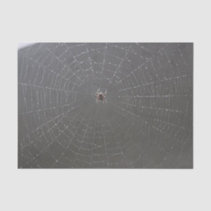Seda Papel de tono web Spider