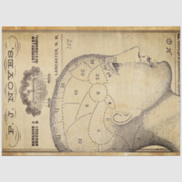 Seda Papel decorativo de muebles apoteados