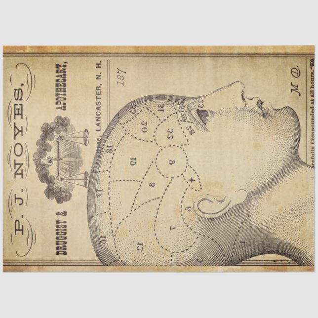 Seda Papel decorativo de muebles apoteados (Anverso)