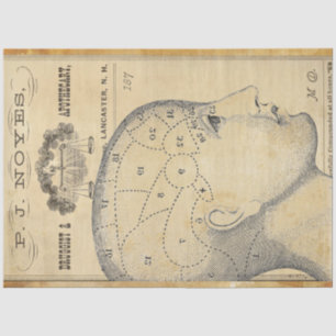 Seda Papel decorativo de muebles apoteados