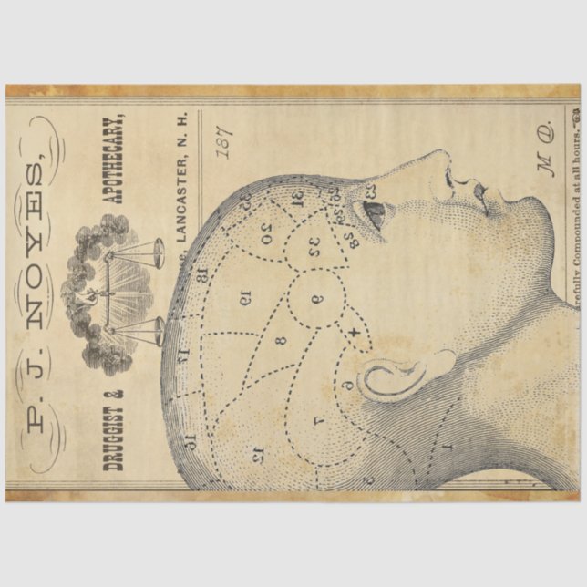 Seda Papel decorativo de muebles apoteados (Anverso)