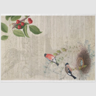 Seda Papel decorativo de muebles patrióticos