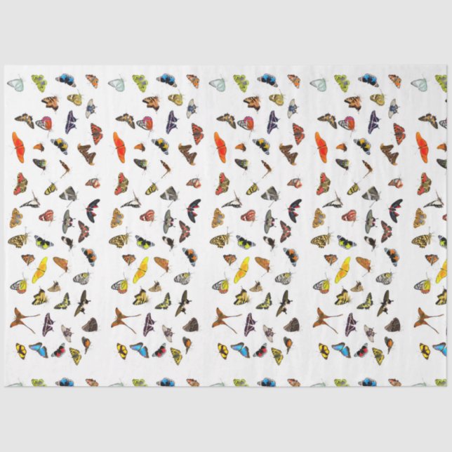 Seda Papel del tejido de la colección de mariposa (Anverso)