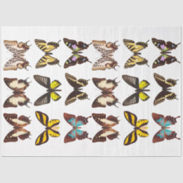 Seda Papel del tejido de la colección de mariposas amar