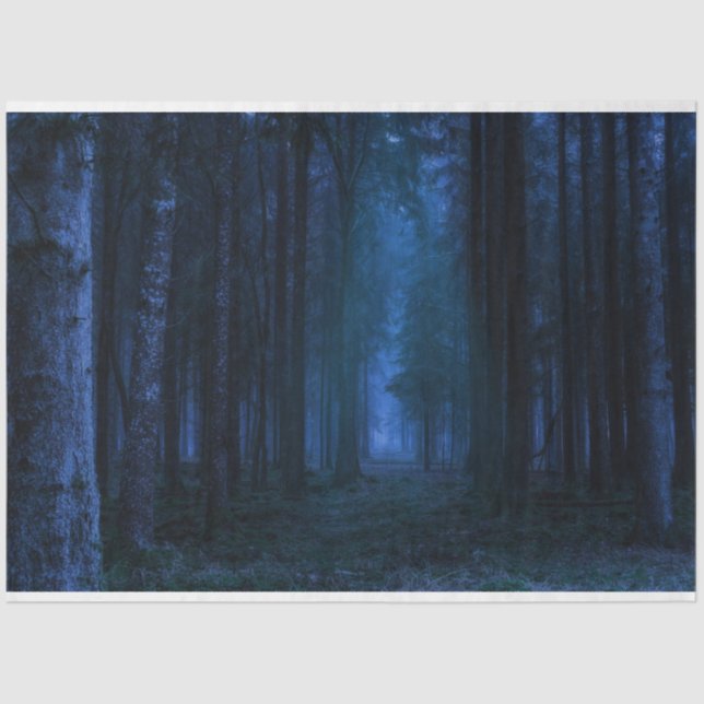 Seda Papel del tejido de la deshielo de los bosques de  (Anverso)