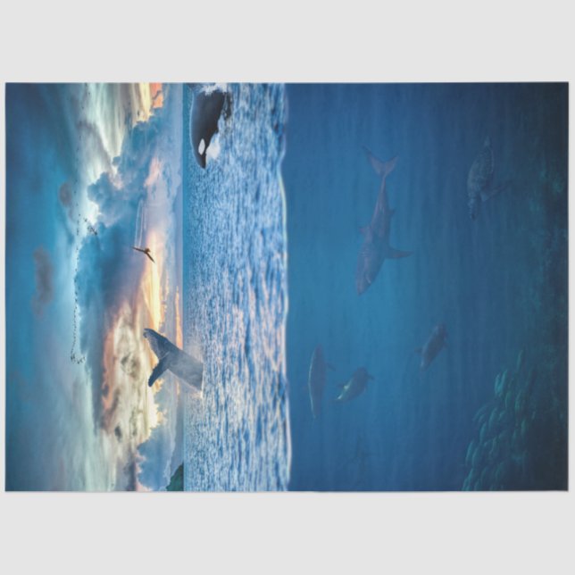 Seda Papel del tejido de la desunión oceánica de los de (Anverso)