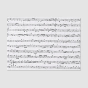 Seda Papel del tejido de la puntuación musical gris