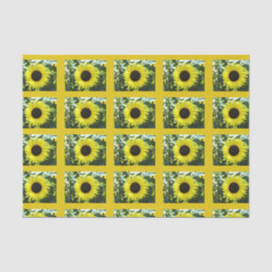 Seda Papel del tejido del girasol de verano