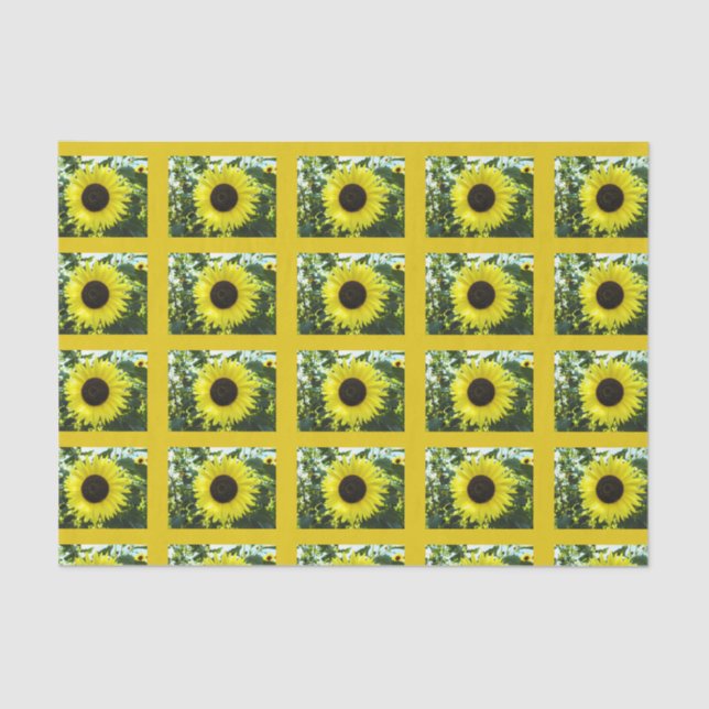 Seda Papel del tejido del girasol de verano (Anverso)