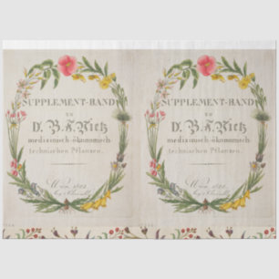 Seda Papel desconsolador de la corona húmeda