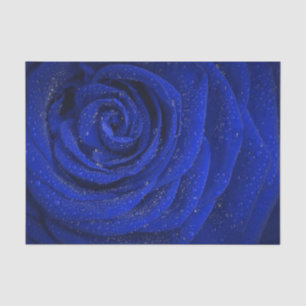 Seda Papel elegante de tejido floral azul rosa