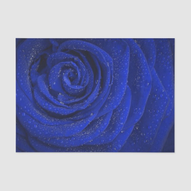 Seda Papel elegante de tejido floral azul rosa (Anverso)