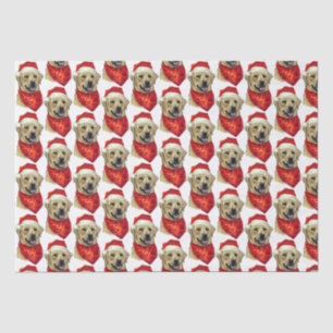 Seda Papel envuelto para perros de los navidades Labrad