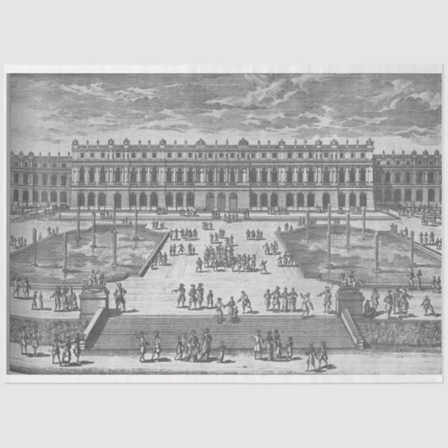 Seda Papel higiénico de descomposición de propiedades a (Anverso)