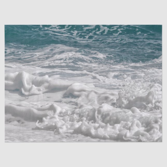 Seda papel higiénico de espuma marina (Anverso)