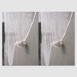 Seda Papel higiénico de fotos de la navegación