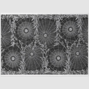 Seda Papel higiénico de Halloween para arañas antiguas