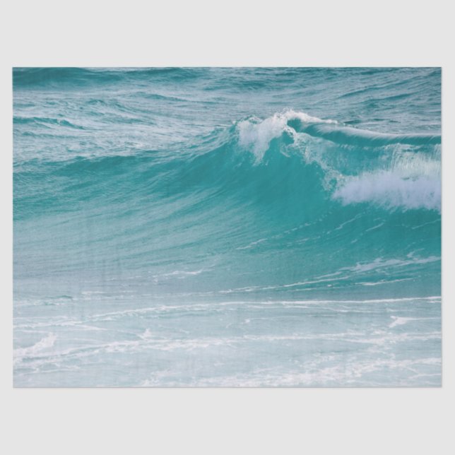 Seda papel higiénico de olas oceánicas (Anverso)