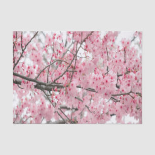 Seda Papel higiénico del Festival Hanami de primavera