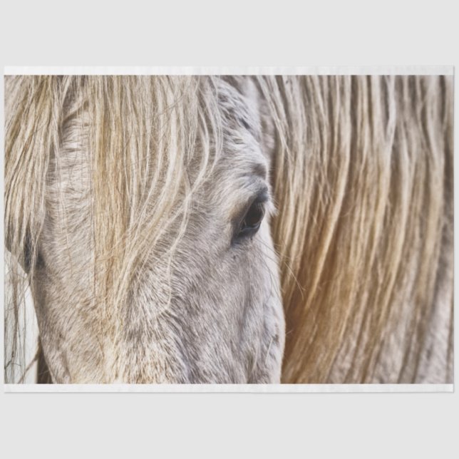 Seda papel higiénico en el grano de bronceado (Anverso)