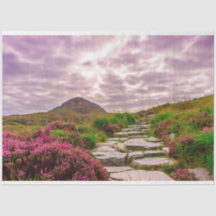 Seda papel higiénico escénico de Irlanda