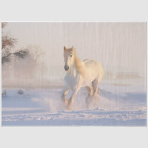Seda papel higiénico para caballos de invierno