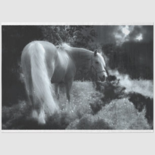 Seda papel higiénico para caballos de noche