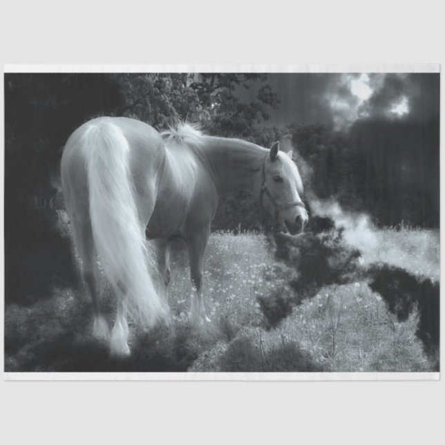 Seda papel higiénico para caballos de noche (Anverso)