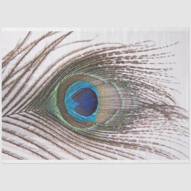 Seda Papel para el tejido de la capa de pavo real de 3  (Anverso)